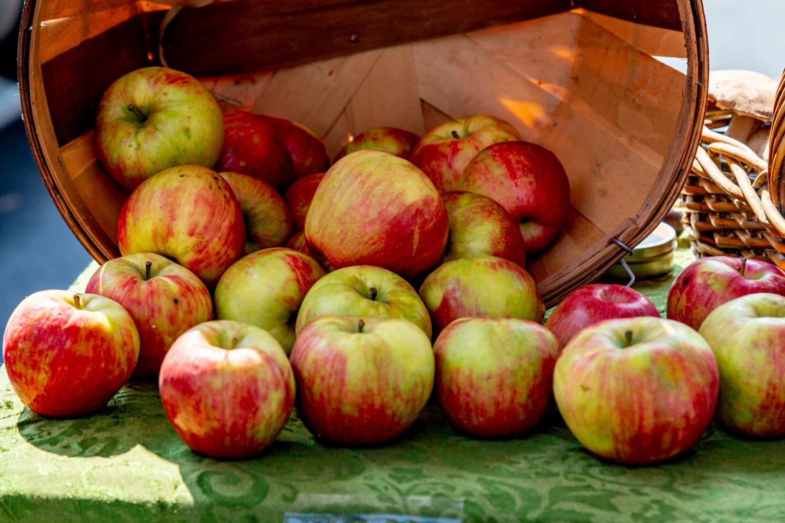 kid-friendly-thanksgiving-recipes-for-your-holiday-season-minds-in-bloom